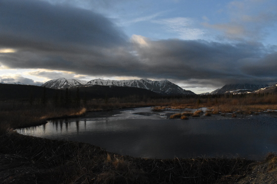 Denali National Park 