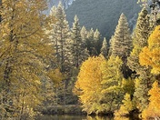Yosemite National Park