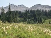 Goat Rocks Wilderness