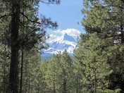 Deschutes National Forest