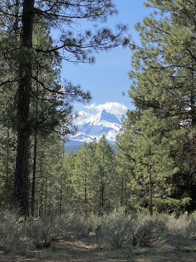 Deschutes National Forest