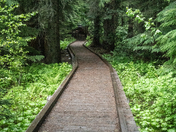Trillium Campground, Mt Hood National Forest