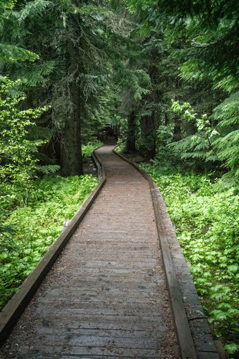 Trillium Campground, Mt Hood National Forest