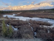 Denali National Park and Preserve