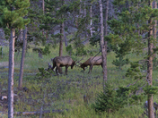 Rocky Mountain National Park