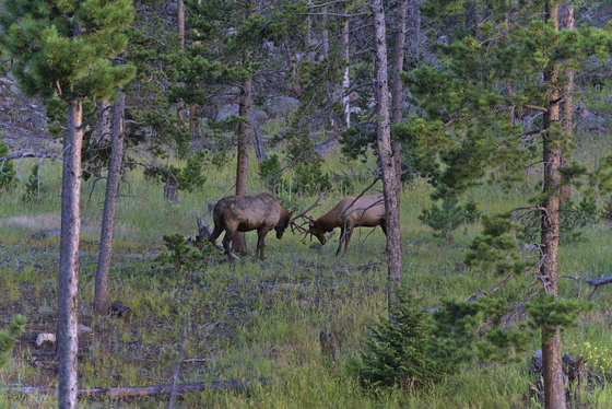 Rocky Mountain National Park