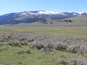 Yellowstone National Park