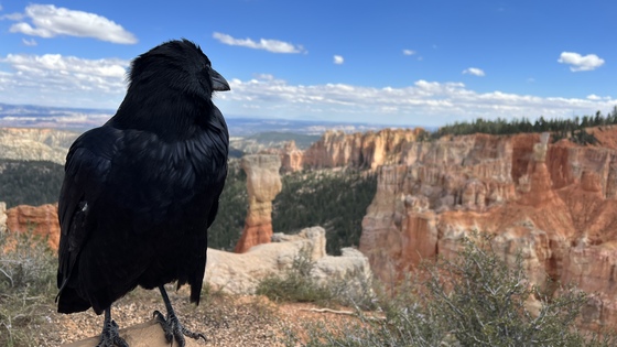 Bryce Canyon National Park