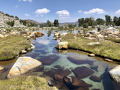 Inyo National Forest