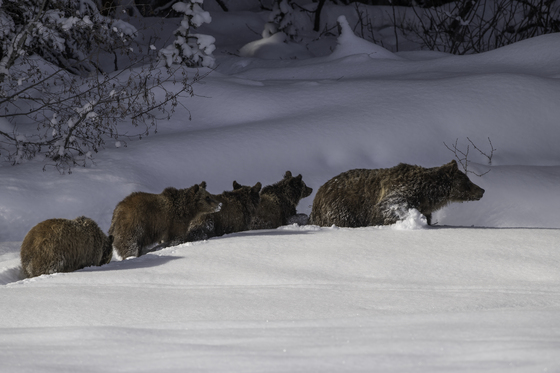 Grand Teton National Park