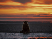Lake Clark National Park