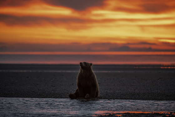 Lake Clark National Park
