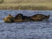 Lake Clark National Park