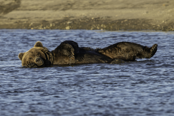 Lake Clark National Park