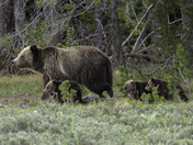 Grand Teton National Park