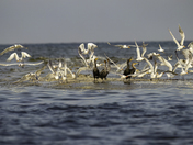 Everglades National Park