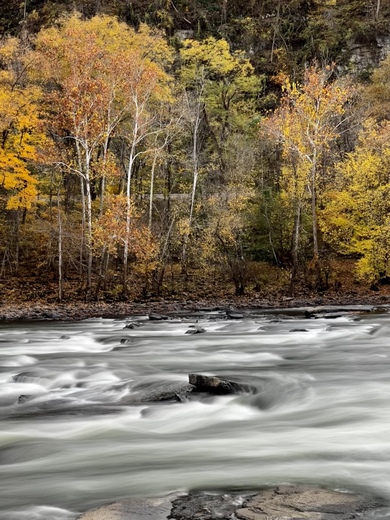 New River Gorge National Park 