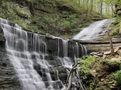 Natchez Trace Parkway 