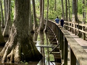 Natchez Trace Parkway 