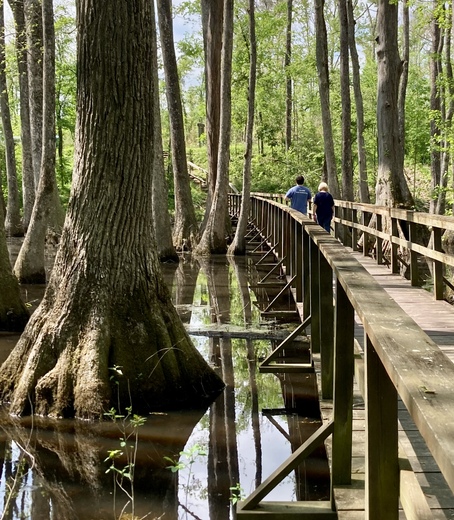 Natchez Trace Parkway 