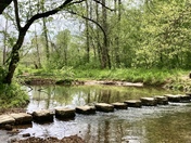 Natchez Trace Parkway 