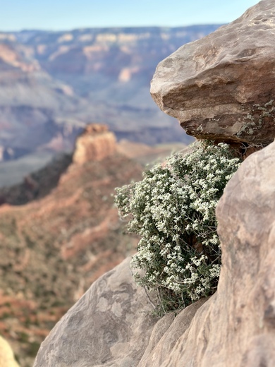 Grand Canyon National Park