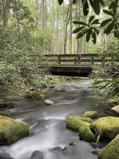 Great Smoky Mountains National Park 