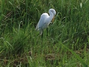 Everglades National Park