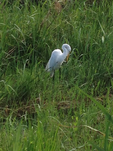 Everglades National Park