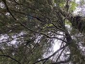 Wildwood Recreation Site