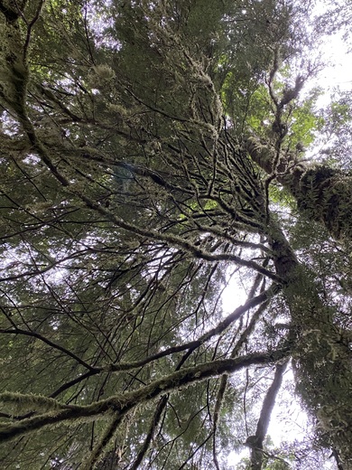 Wildwood Recreation Site