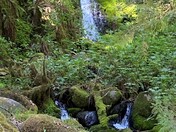 Molalla River Corridor