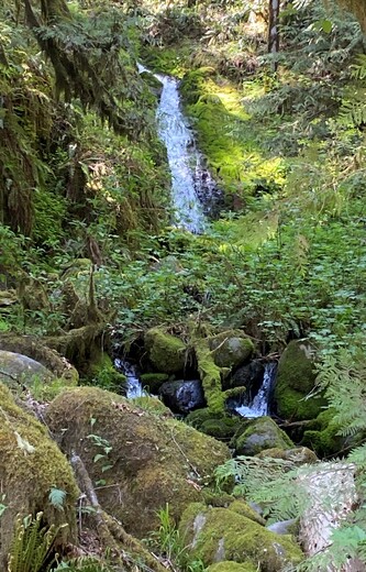 Molalla River Corridor