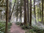 Wildwood Recreation Site