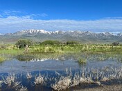 BLM rangeland