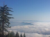 Six Rivers National Forest