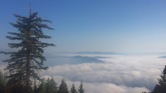 Six Rivers National Forest