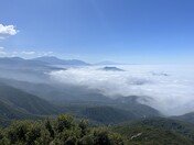 San Bernardino National Forest