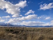 BLM rangeland