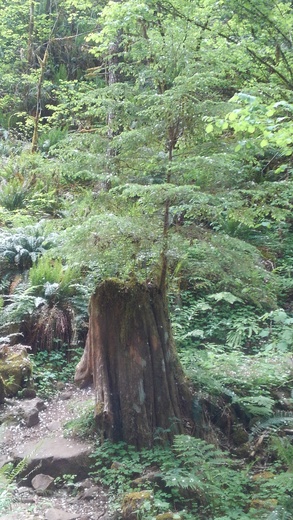 Molalla River Corridor