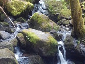 Molalla River Corridor