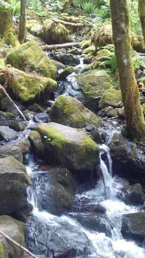 Molalla River Corridor