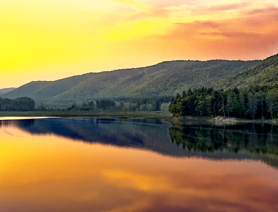 Surry Mountain Dam