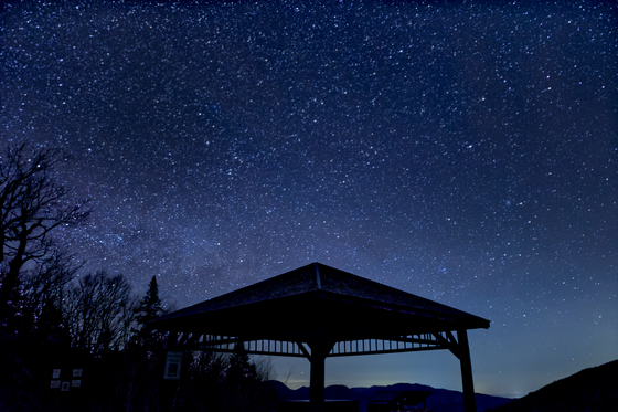 White Mountian National Forest 