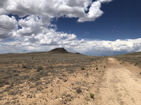 Petroglyph National Monumant