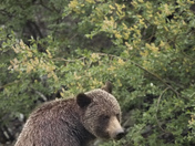 Contemplating Spring