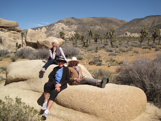 Joshua Tree National Park