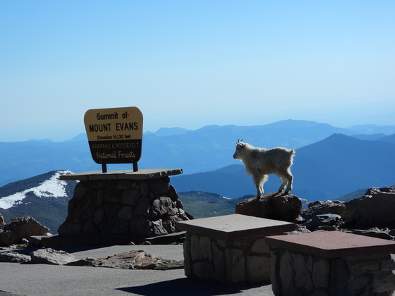 Mt Evans