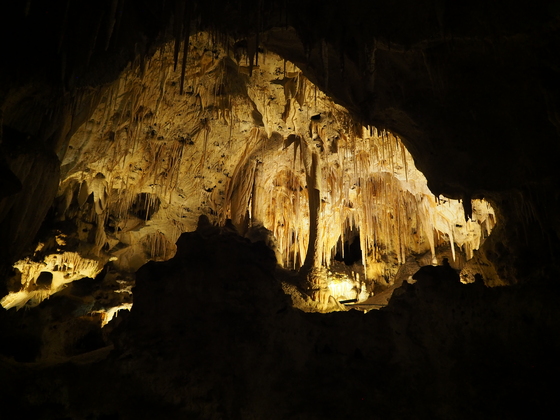 Carlsbad Caverns