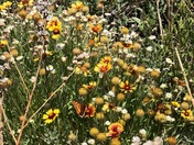 Guadalupe Mountains National Park